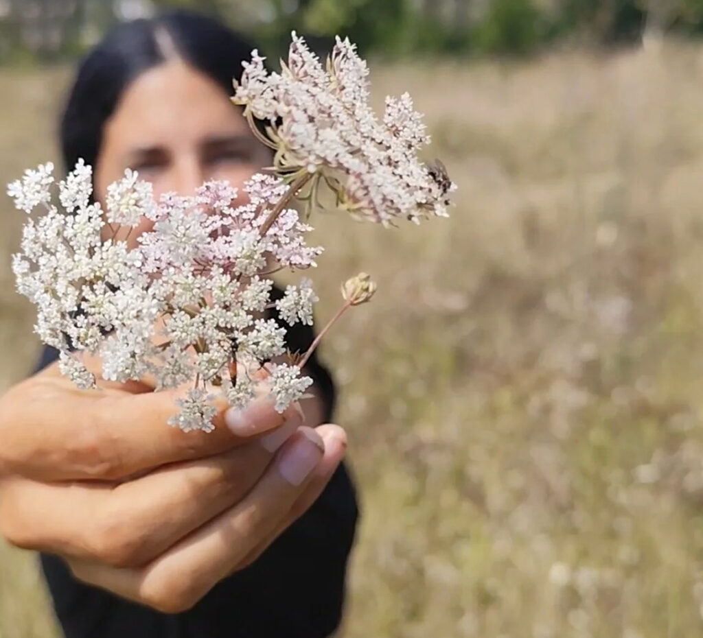 Una persona sostiene un ramillete de flores blancas en un campo abierto con árboles y cielo azul de fondo.